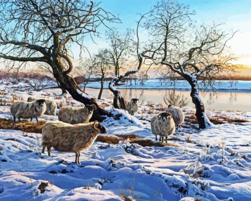Blackface Sheep In Snow Paint By Numbers
