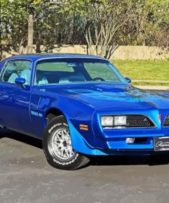 Blue 1978 Trans Am Paint By Number