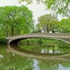 Bow Bridge In New York Paint By Number