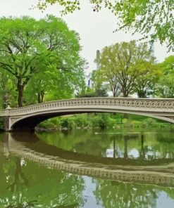 Bow Bridge In New York Paint By Number