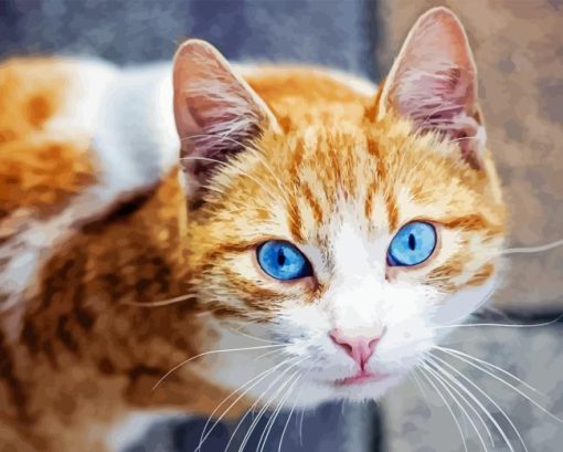 Cat With Blue Eyes Paint By Numbers