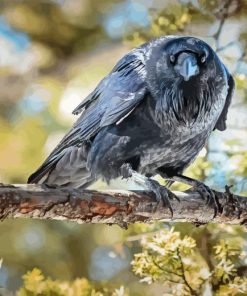 Dead Tree And Raven Paint By Number