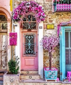 Flowers Pink Door Paint By Numbers