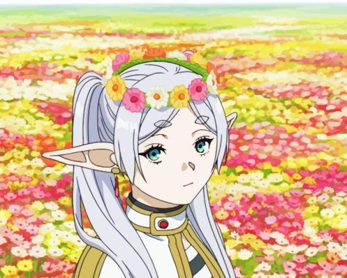 Frieren Anime Girl Paint By Numbers