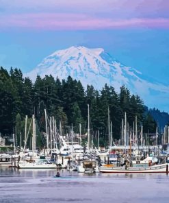 Gig Harbor In Washington State Paint By Number