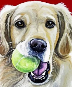 Golden Retriever With Ball Paint By Numbers