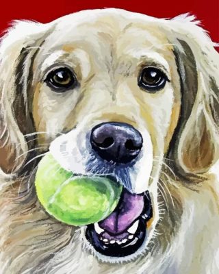 Golden Retriever With Ball Paint By Numbers