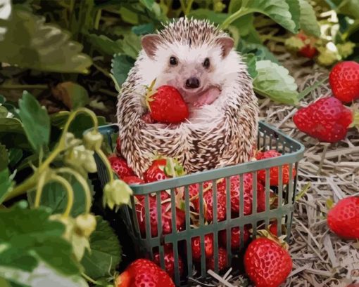 Hedgehog And Strawberries Paint By Number