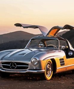 Mercedes 300 Sl Car Paint By Number