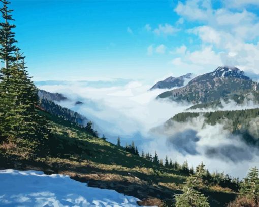 Olympic National Park Paint By Number