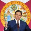 Ron Desantis Paint By Numbers