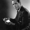 Black And White Sam Spade Paint By Number