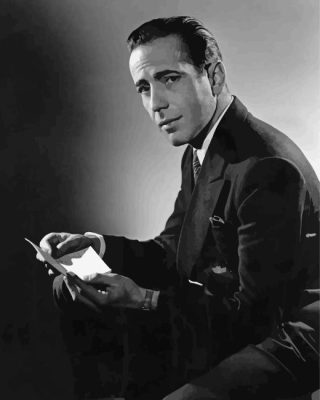Black And White Sam Spade Paint By Number
