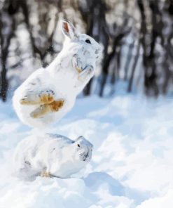 Snowshoe Hare In Snow Paint By Numbers