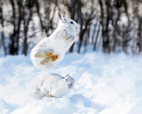 Snowshoe Hare In Snow Paint By Numbers