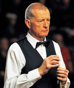 Steve Davis Snooker Player Paint By Numbers