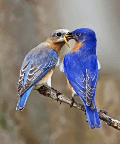 Two Blue Birds On Branch Paint By Number