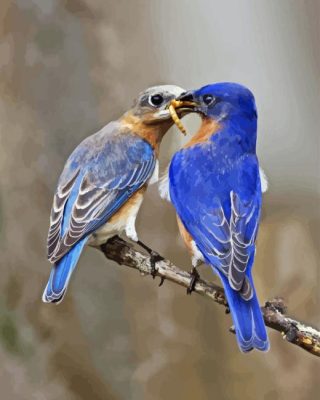 Two Blue Birds On Branch Paint By Number