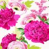 Blooming Peonies And Ranunculus Paint By Number