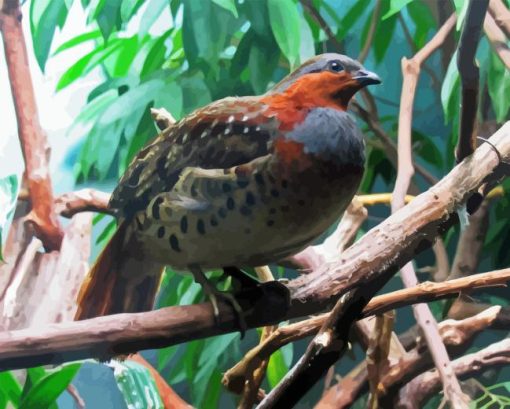 Chinese Bamboo Partridge Paint By Number