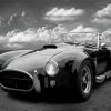 Classic Black And White Car Paint By Numbers