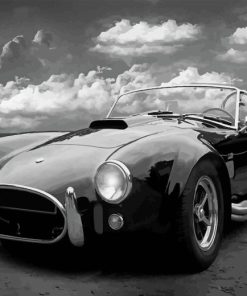 Classic Black And White Car Paint By Numbers