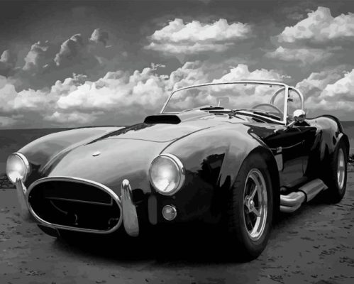 Classic Black And White Car Paint By Numbers