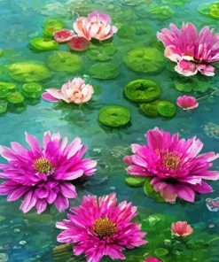 Fuchsia Water Lilies Paint By Numbers