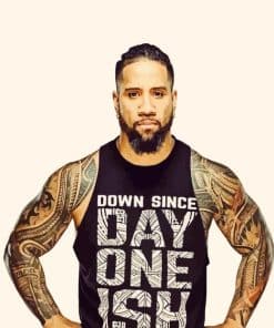 Jey Uso Paint By Numbers