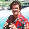 Magnum Pi Paint By Number