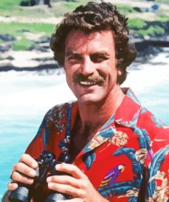 Magnum Pi Paint By Number