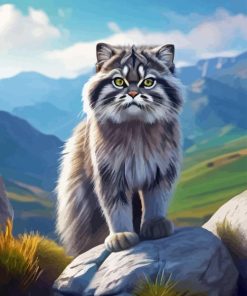 Pallas Cat Paint By Number