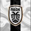 Paok Fc Logo Paint By Numbers