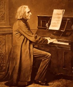 Pianist Franz Liszt Paint By Numbers