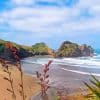 Piha Seascape Paint By Number