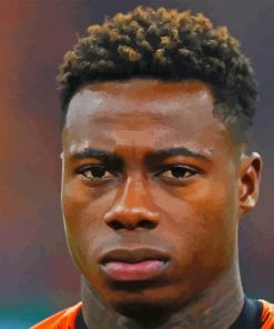 Quincy Promes Paint By Number