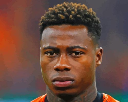 Quincy Promes Paint By Number