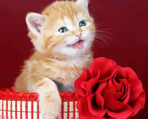 Red Rose And Cat Paint By Number