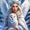 Snow Angel And Owl Paint By Number