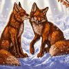 Snow Fox Couple Paint By Number