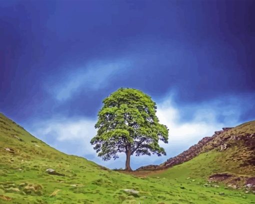 Sycamore Gap Tree Paint By Numbers