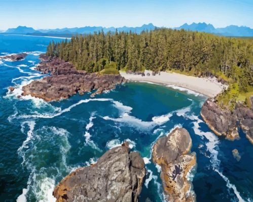 Ucluelet Island Paint By Numbers