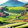 Vietnam Rice Terraces Poster Paint By Number