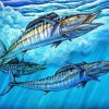 Wahoo Fish Underwater Paint By Numbers