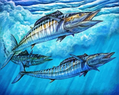 Wahoo Fish Underwater Paint By Numbers