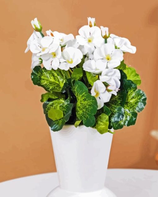 White Begonias Vase Paint By Numbers