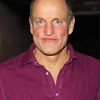 Woody Harrelson Actor Paint By Numbers