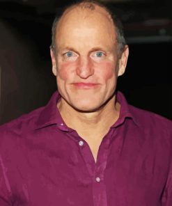 Woody Harrelson Actor Paint By Numbers