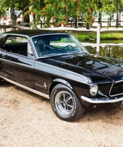 Black 1967 Ford Mustang Paint By Numbers