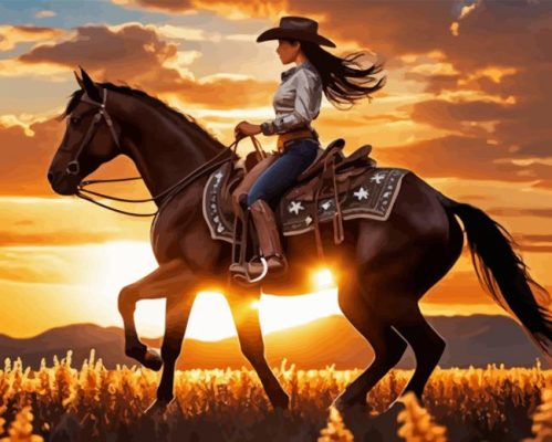 Cowgirl On Horse At Sunset Paint By Numbers